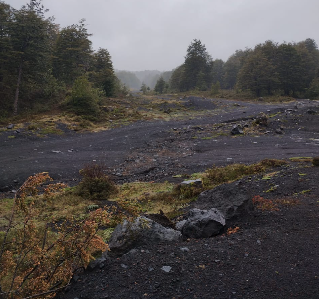 Parcela 5.300 M2 Condominio Nevados Del Chaillupén- Villarrica