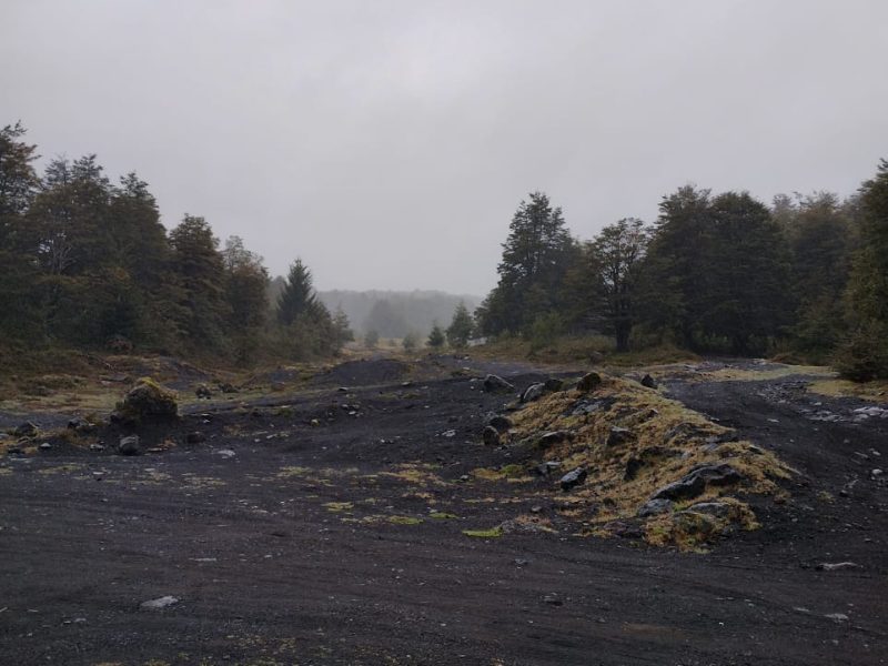 Parcela 5.300 M2 Condominio Nevados Del Chaillupén- Villarrica