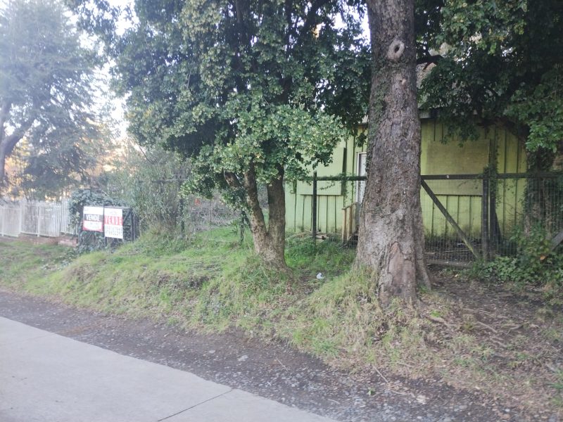 SITIO CON CASA VILLA LAS ARAUCARIAS -PUCÓN