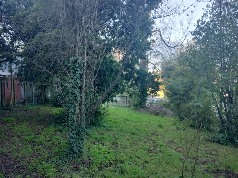 SITIO CON CASA VILLA LAS ARAUCARIAS -PUCÓN