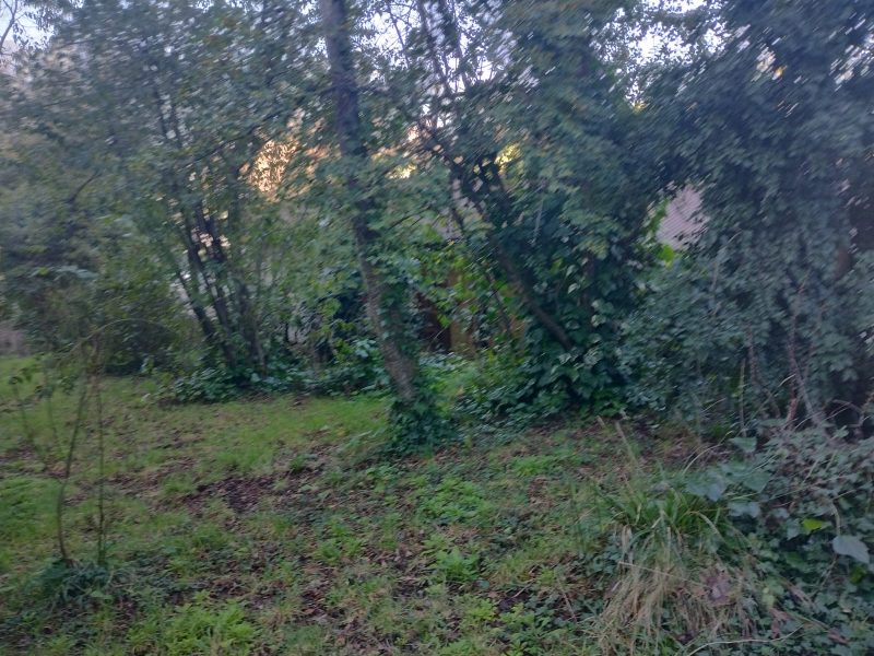 SITIO CON CASA VILLA LAS ARAUCARIAS -PUCÓN