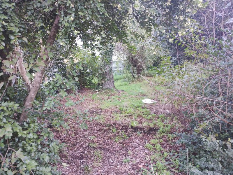 SITIO CON CASA VILLA LAS ARAUCARIAS -PUCÓN