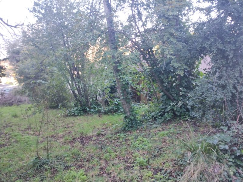 SITIO CON CASA VILLA LAS ARAUCARIAS -PUCÓN