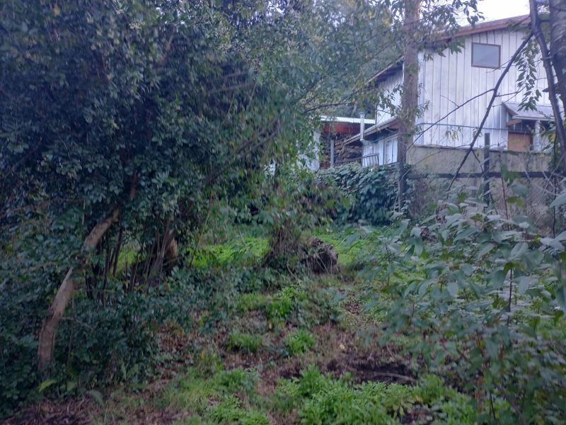 SITIO CON CASA VILLA LAS ARAUCARIAS -PUCÓN