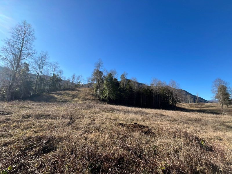 PARCELAS LOTEO VALLE DE HUIFE