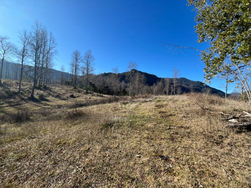 PARCELAS LOTEO VALLE DE HUIFE