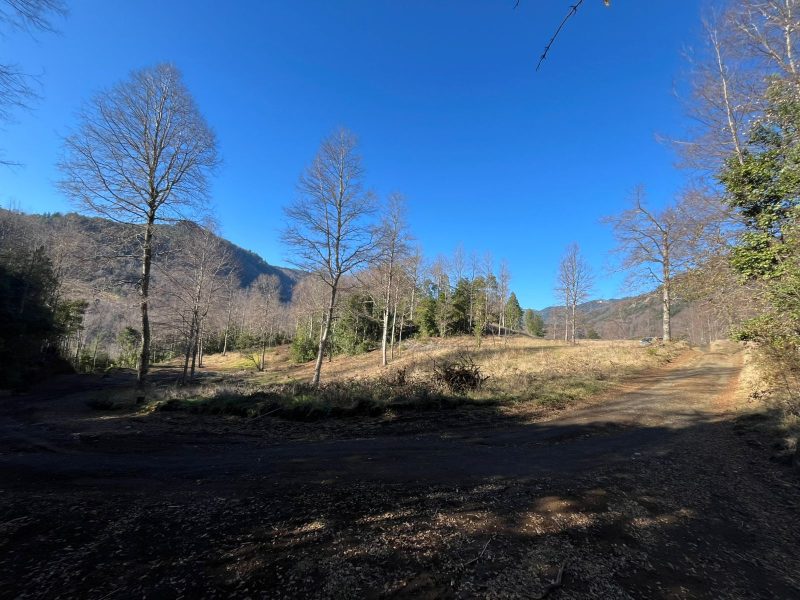 PARCELAS LOTEO VALLE DE HUIFE