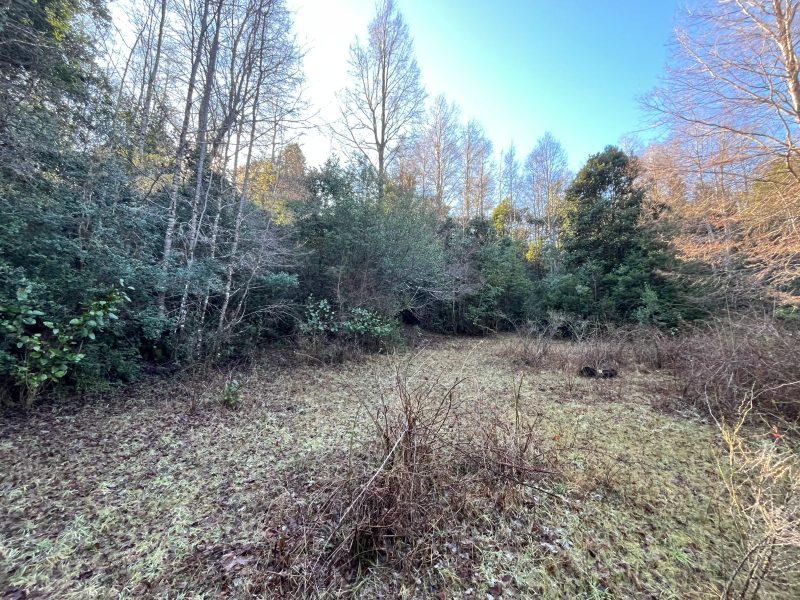 PARCELAS LOTEO VALLE DE HUIFE