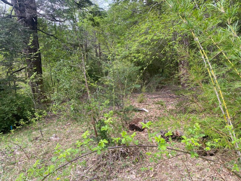 🌲 VENTA GRAN PARCELA – OPORTUNIDAD ÚNICA EN SECTOR SALTO LA CHINA, PUCÓN 🏞️