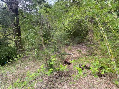 🌲 VENTA GRAN PARCELA – OPORTUNIDAD ÚNICA EN SECTOR SALTO LA CHINA, PUCÓN 🏞️