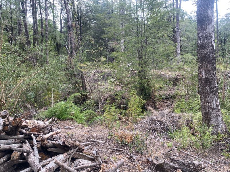 VENTA PARCELA – OPORTUNIDAD ÚNICA EN SECTOR SALTO LA CHINA, PUCÓN
