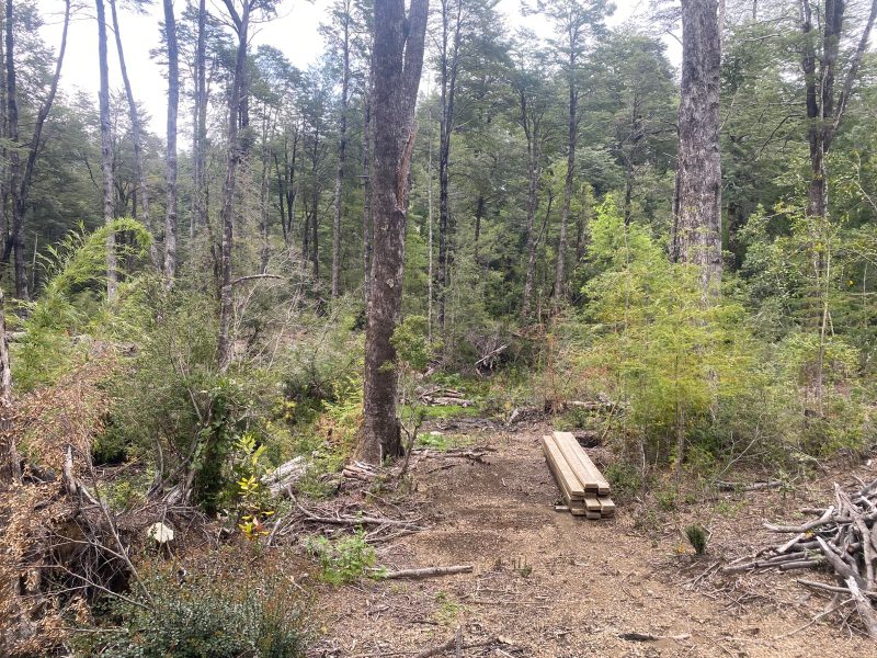 VENTA PARCELA – OPORTUNIDAD ÚNICA EN SECTOR SALTO LA CHINA, PUCÓN