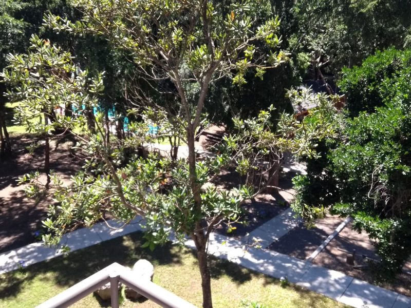 VENTA DE DEPARTAMENTO – CONDOMINIO SUIZO, PUCÓN