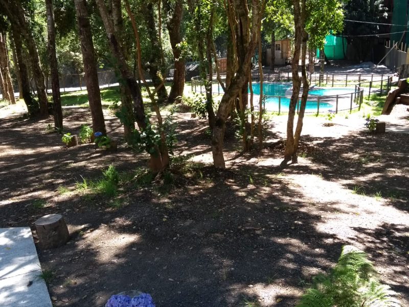 VENTA DE DEPARTAMENTO – CONDOMINIO SUIZO, PUCÓN